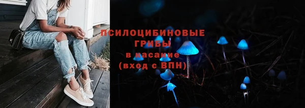бутират Иннополис
