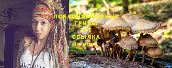 меф Инсар
