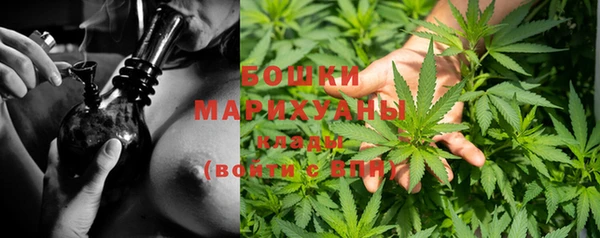 мескалин Инта