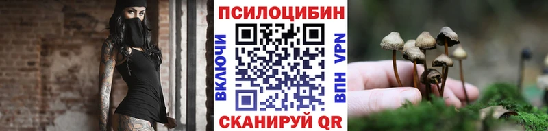 наркота  Озёры  Галлюциногенные грибы Psilocybe 